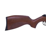 RWS 340 N-Tec Classic - .22, Rifled, 19.5 Barrel, Break Barrel, Gas Piston,  Wood Stock