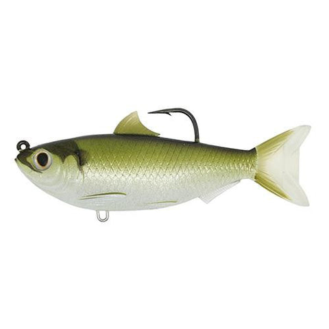 Threadfin Shad Crankbait - Freshwwater, 3 1-2", 4-0 Hook, Medium-Slow Sinking, Green-Bronze