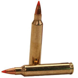 204 Ruger - 32 Gr V-Max (Per 20)