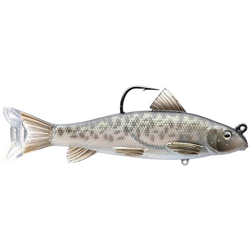 Sucker Swimbait - Freshwater, 5 1-2" Length, 1 1-3 oz, 1'-12' Depth, Redhorse White-Natural, Per 1