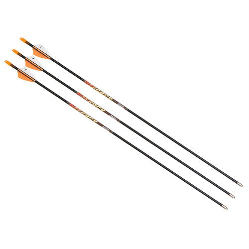 Legacy Youth Arrow - 26", Package of 3