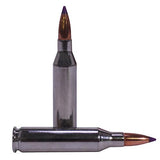 243 Winchester - Premium Vital-Shok, 95 Grains, Nosler Ballistic Tip, Per 20