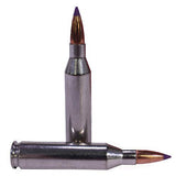 243 Winchester - Premium V-Shok, 55 Grains, Nosler Ballistic Tip, Per 20