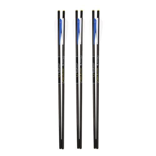 20" Pro Elite Carbon Arrows - Carbon Bright, 6 Pack