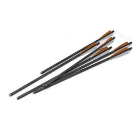 Carbon Gold Tip Arrows 20" - Per 6