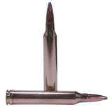 7mm STW Ammunition - Trophy Grade, 140 Grains, Partition, Per 20