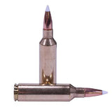 270 Winchester Short Magnum Ammunition - Trophy Grade, 140 Grains, AccuBond, Per 20