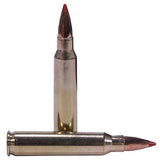 223 Remington Ammunition - Trophy Grade, 35 Grains, Ballistic Tip Varmint Lead-Free, Per 20