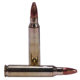 223 Remington Ammunition - Varmageddon, 55 Grains, Hollow Point Flat Base, Per 20