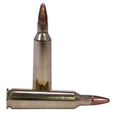 22-250 Remington - USA, 45 Grains, Jacketed Hollow Point, Per 40